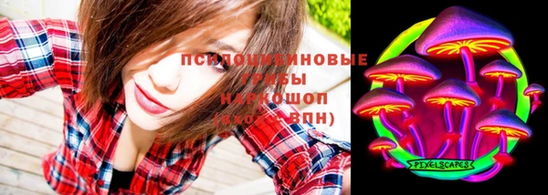 соль ск Иннополис